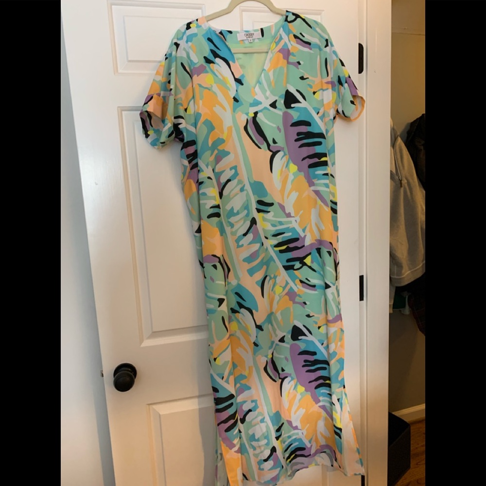 Crosby by Mollie Burch Like New Maxi